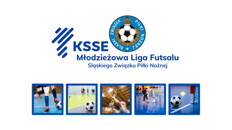 Młodzieżowa Liga Futsalu